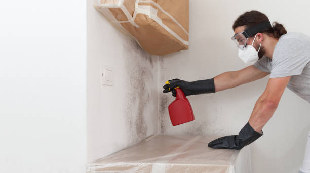 Professional Mold Cleanup technician working in Smithtown, NY